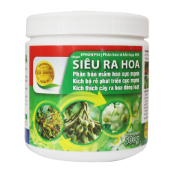 SIEU RA HOA.png